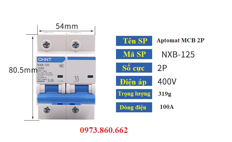 Disjoncteur Miniature TSB3-125 3P C100 TOSUN